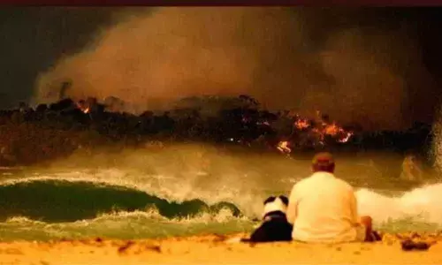 Australia bushfire smoke turns Auckland skies orange