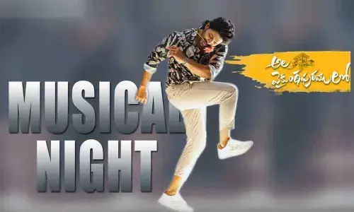 A Big Day For Bunny Boys