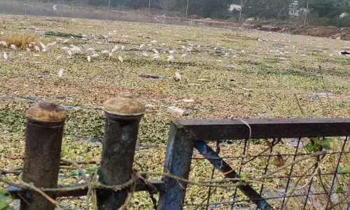 Misfortune of locals as big as tank name itself