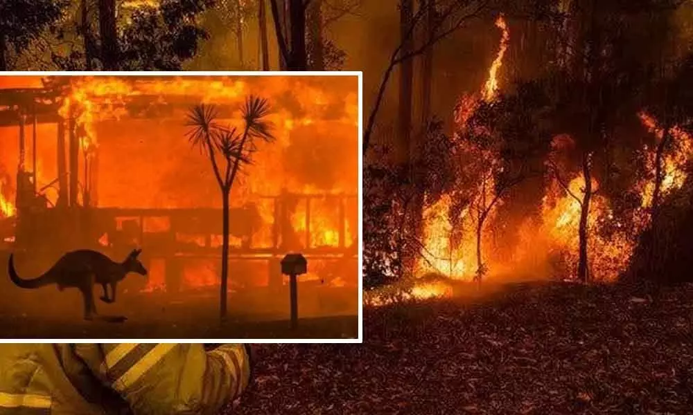 Hundreds arrested for deliberately starting Aus bushfires