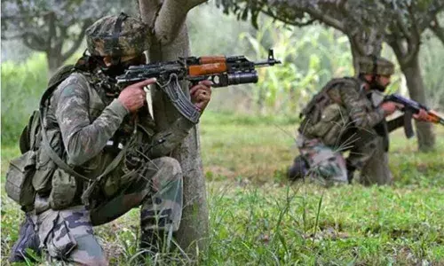 Terrorist killed by security forces in J&Ks Awantipora