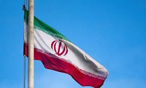 Magnitude 4.5 earthquake hits near Iran nuclear power plant: USGS