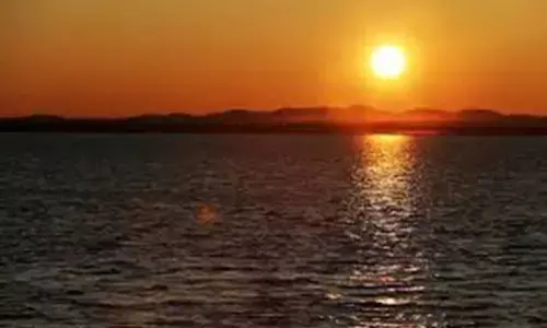 2019, the second hottest year on record after 2016: European Union