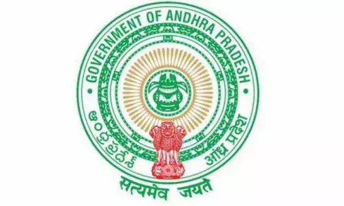 Government comes up with MSP for Turmeric and Red Chilli in Andhra Pradesh