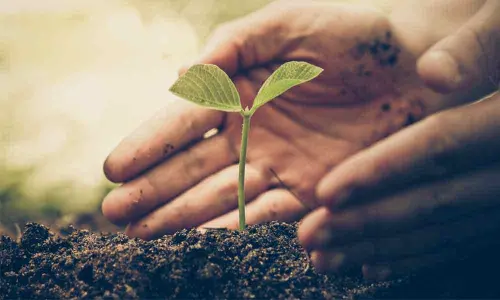 Political will, scientific endeavour must to protect environment