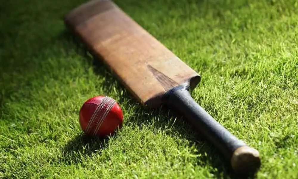 Frugal domestic cricket foundation could be cause for concern
