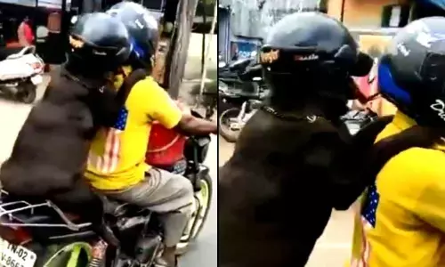 Funny or unsafe? Your opinion? A dog who is wearing helmet leaves Netizens divided in opinion | Viral Video