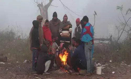 Cold wave subdues in Punjab, Haryana