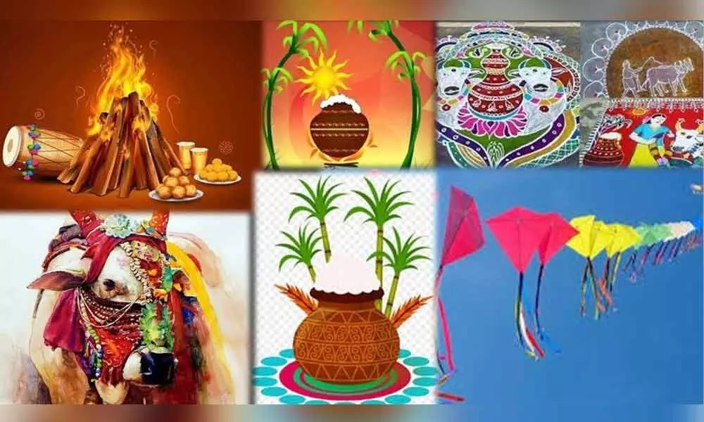 Sankranti Sambaralu The 3day festivities begin in the Two Telugu States