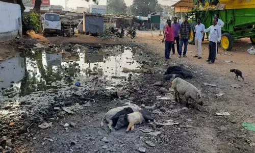 Better drains, roads in Wanaparthy are needs of the hour