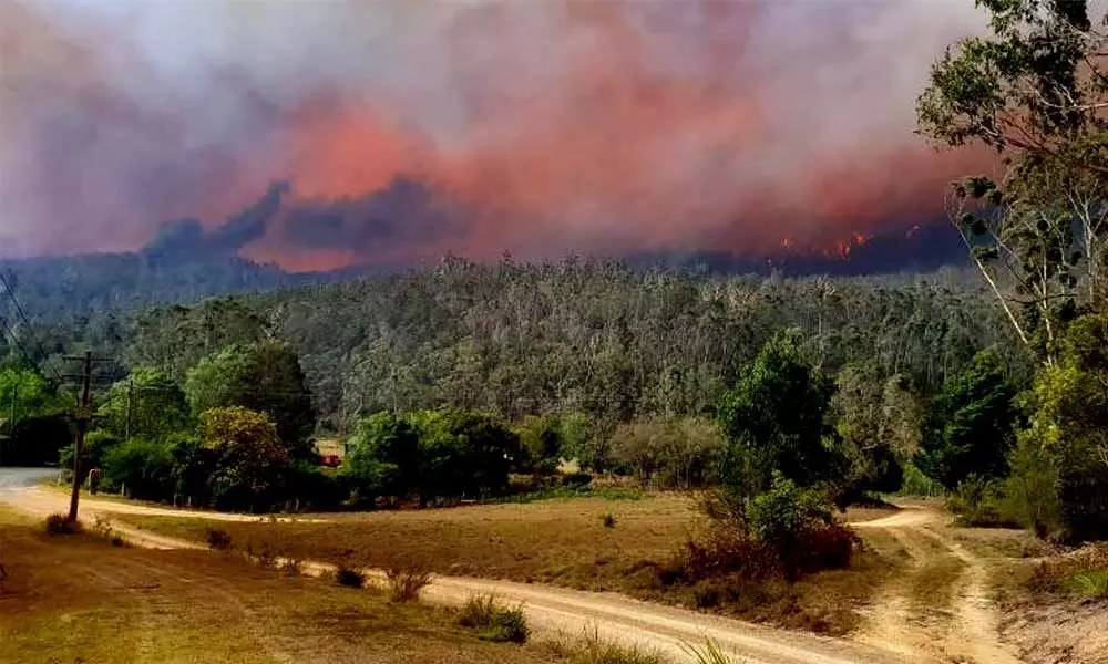 Heavy rains offers hope to Australian bushfire fight