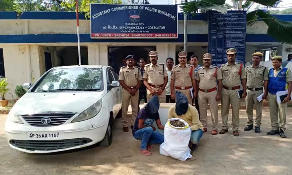 Warangal: Two peddlers held and seized 26 kilograms of ganja