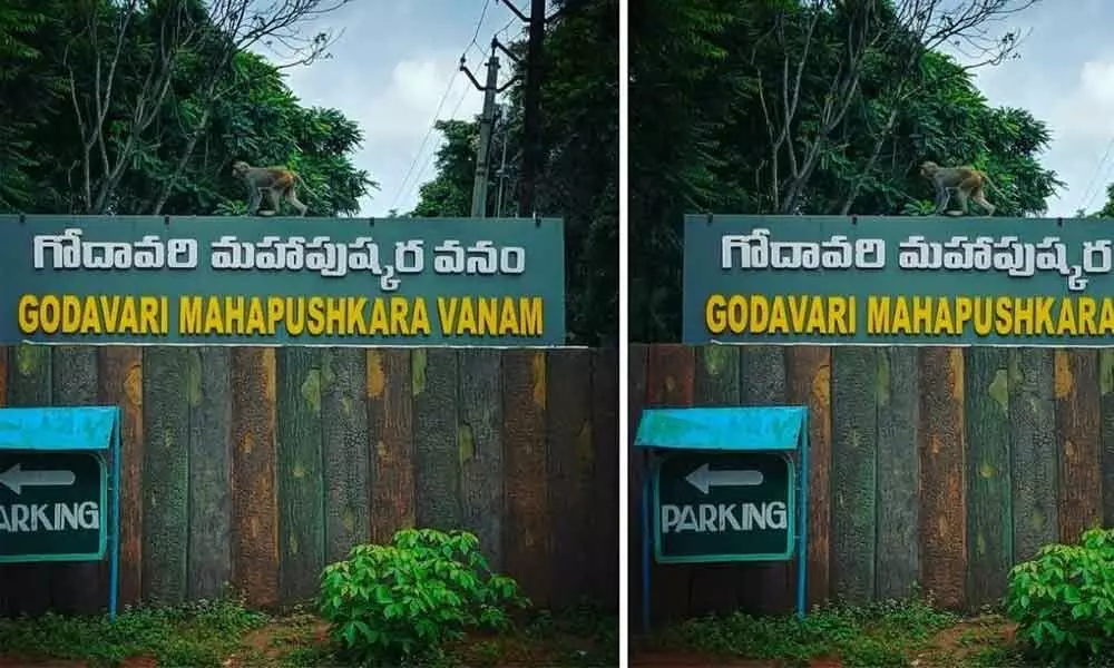 Pushkara Vanam to be developed into tourist spot in Rajamahendravaram