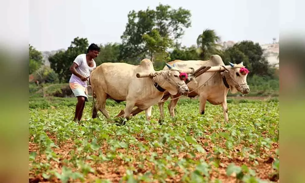 Jan 17 is last date for receiving grievances from farmers in Amaravati