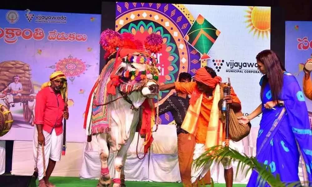 Vijayawada: Sankranti celebrations reflect Telugu culture