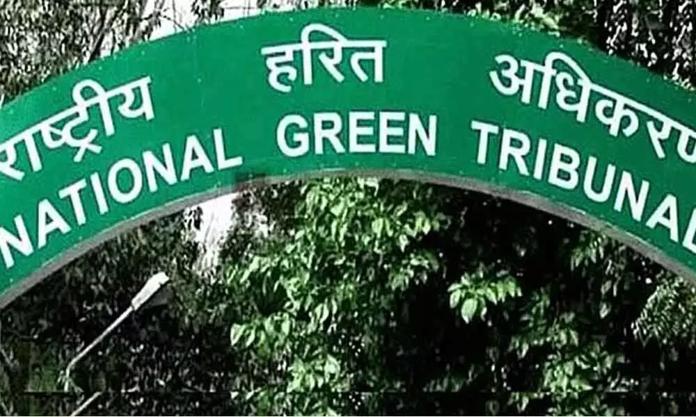 Green panel seeks report on polluted lakes plea