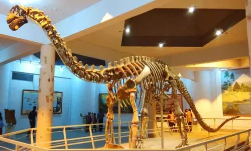 Hyderabad: Film festival at Birla Science Centre