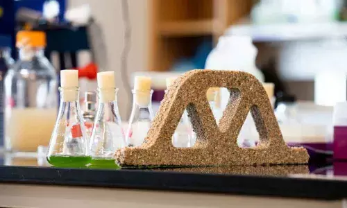 Washington: Scientists create living concrete using bacteria