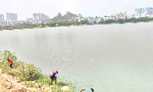 Rejuvenation of lake moves at snails pace