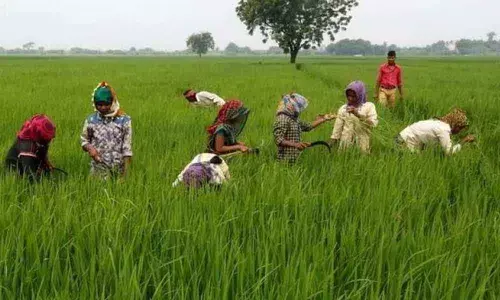 250 Rythu Bharosa Centres to be set up in Kadapa district