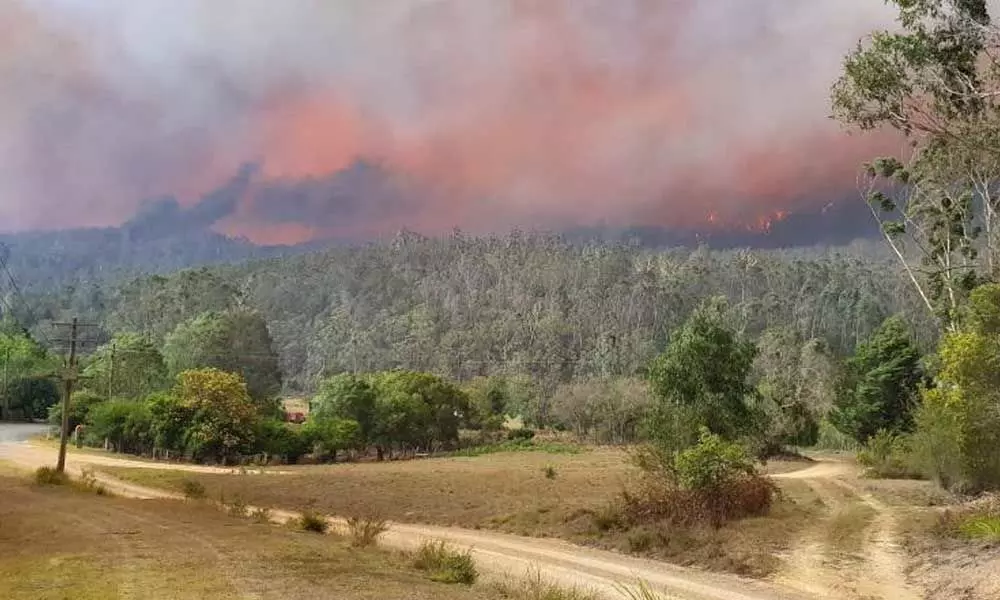 Australia to lose billions of dollars as massive bushfires deter tourists