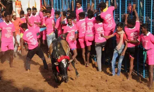 Woman died, six injured in Jallikattu event in Tamil Nadu