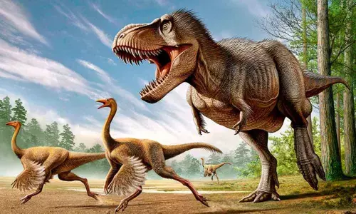 Meteorite impact led to dino extinction: Study