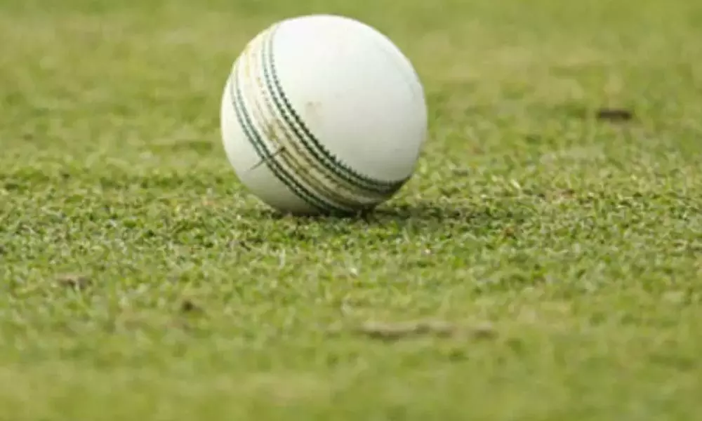 Minor boy dies after hit by a cricket ball in Kurnool district
