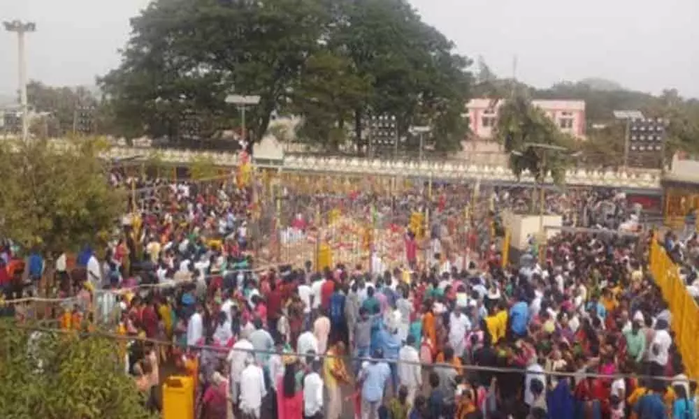 Devotees throng to Medaram ahead of jatara