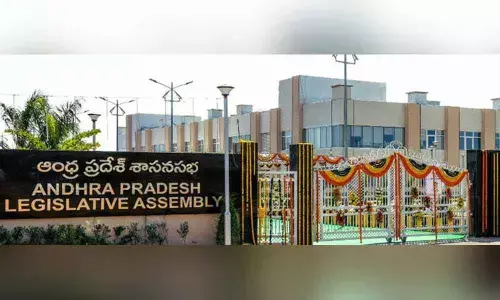 TDP to give tug of war in Assembly and Council on three capitals
