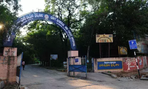 Swine flu cases on the rise