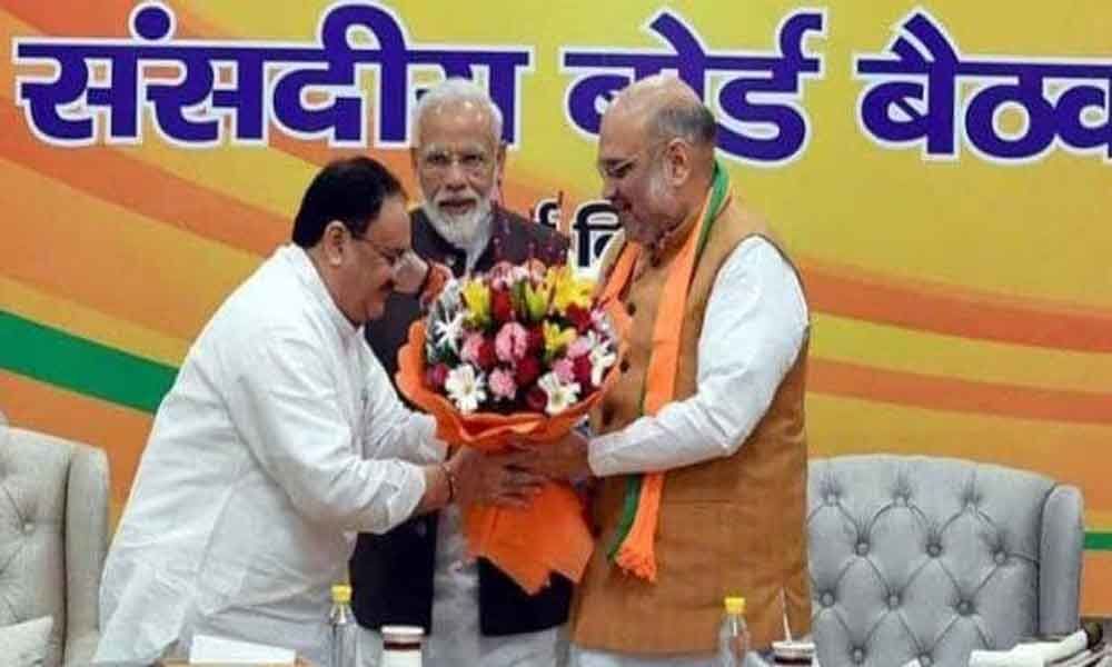 Jp Nadda: Mapping The New Bjp Chief's Political Journey