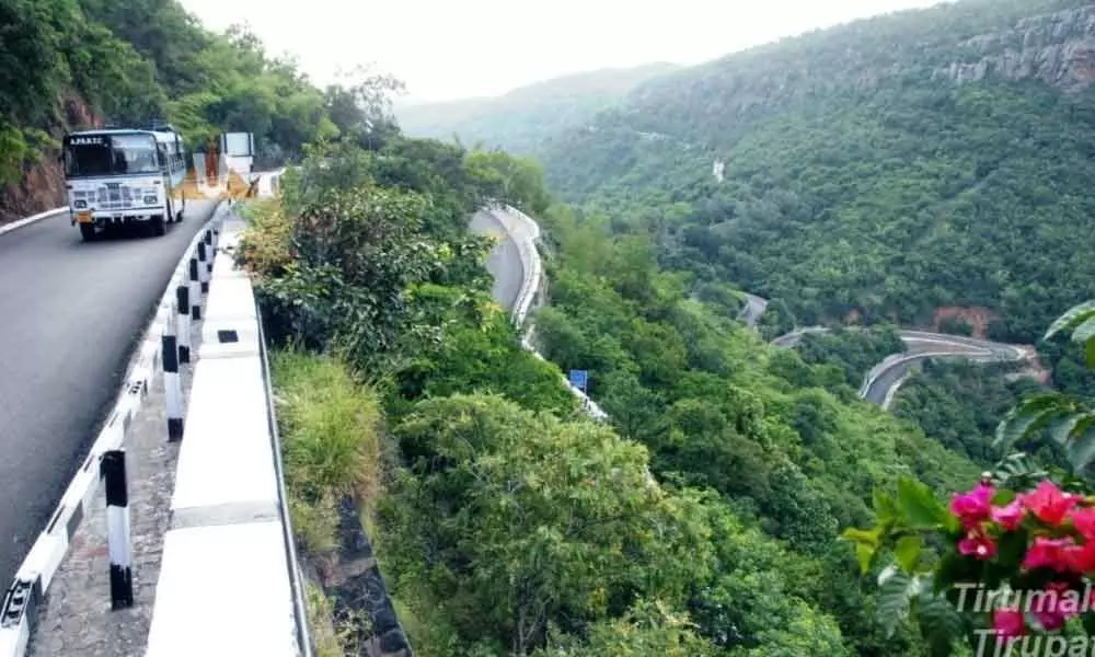 Tirupati: TTD officials object to new road being laid adjacent to 2nd ghat road