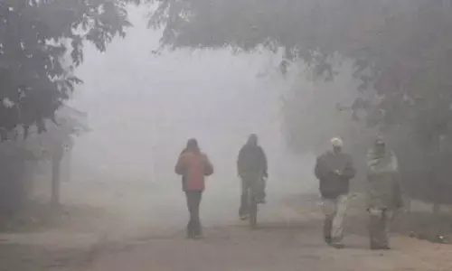Winter gets warmer in Hyderabad due to rise in temperature