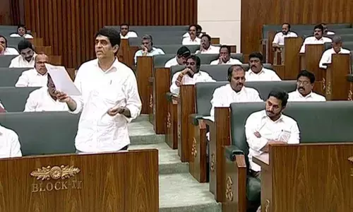 Judicial Capital at Kurnool: Advocates celebrate after the cabinet approves the proposal