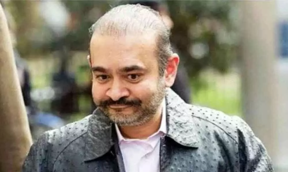 Enforcement Directorate to auction 15 artworks, watches from Nirav Modi assets