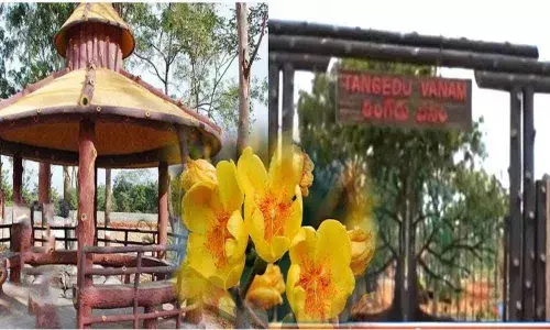 Tangedu Vanam to be open soon for public