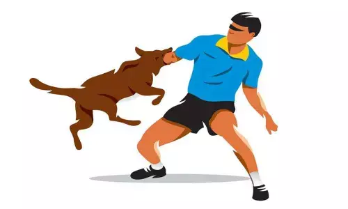 Canine terror strikes hyderabad city streets