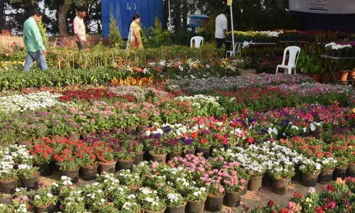 5-day All India Nursery mela from today