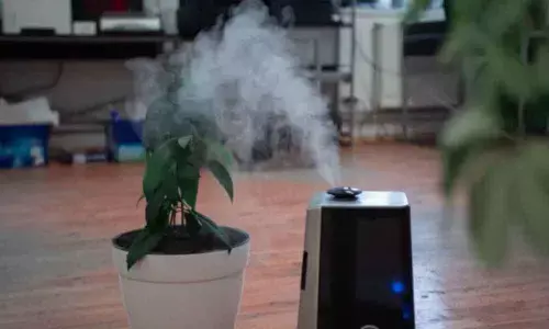 New Delhi: Student researchers in Punjab develop algae-based air purifier