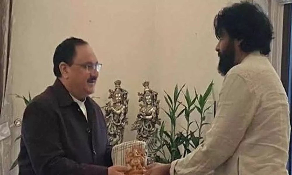 Pawan Kalyan meets BJP national president JP Nadda: Decides to hold long march on February 2