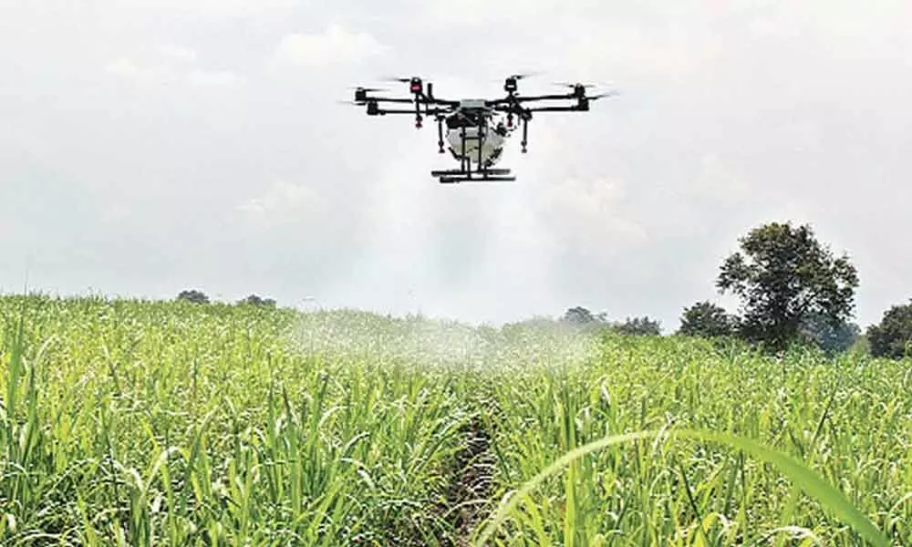 Hyderabad: PJTSAU experiments on usage of drones in farming
