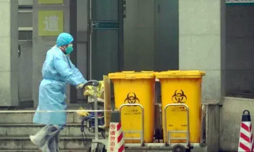 Coronavirus outbreak: China suspends public transport in epicentre Wuhan as death toll reaches 17