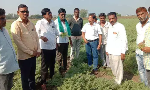 Farmers advised to get insurance