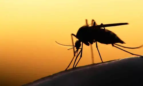 Hyderabad: CCMB on track to find way to halt spread of malaria