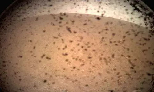 Water on early Mars may have been habitable for microbes