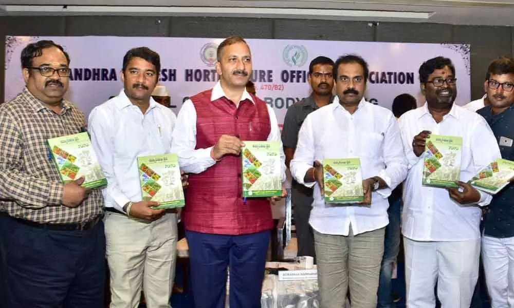 Vijayawada: Banana Research Centre to be set up in State