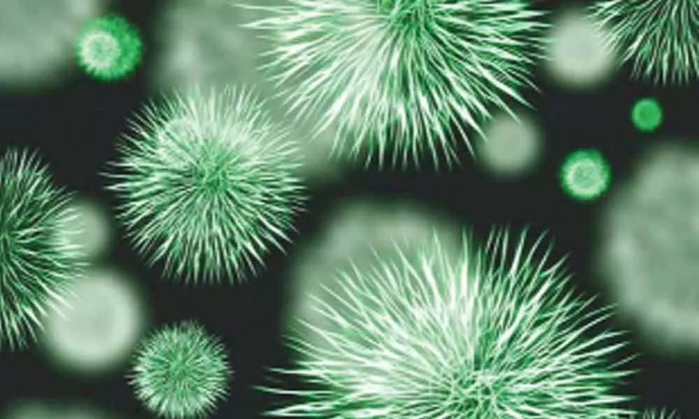 Indoor dust bacteria have transferrable antibiotic resistance genes: Study