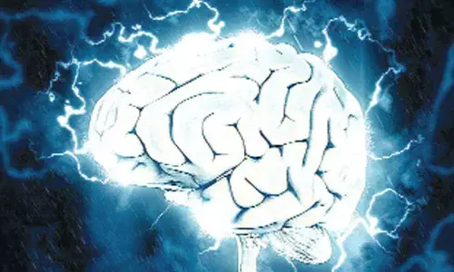 Brain region influencing all human emotions mapped