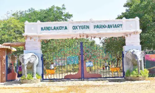 Kandlakoya Oxygen Park: Enjoy deep forest outing in citys backyard